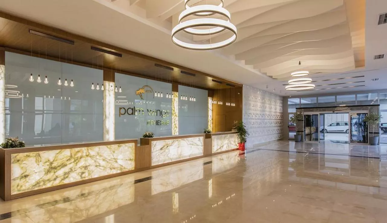 PALMWING_SHABAVIZ (2).jpg